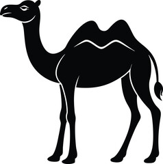camel vector illustration