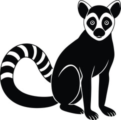 lemur vector illustration
