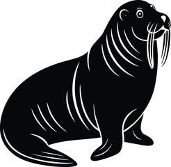 walrus vector illustration