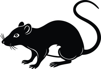 rat vector illustration
