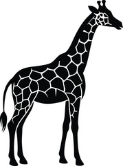 giraffe vector illustration