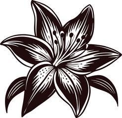 lily vector illustration