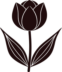  lily vector illustration 