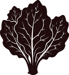 letus vector illustration © Mst