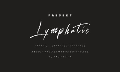 Stylish painted by a brush uppercase vector letters