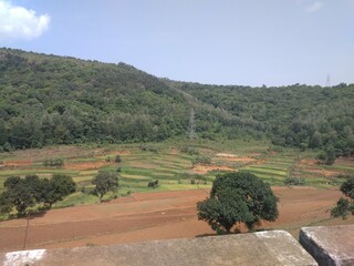 Beautiful clicks of green lanscapes and mountains of Araku Valley
