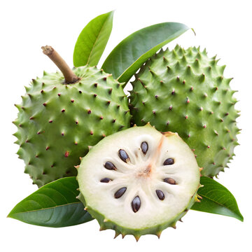 Soursop fruit isolated on transparent background 