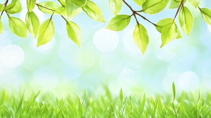 Bright Green Leaves and Grassy Background