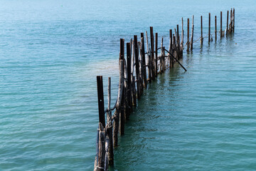 Fototapeta premium net and wooden poles on the sea, traditional fishing method