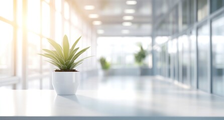 A white, modern office interior with plants in the foreground, blurred desks and chairs behind it.