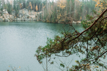 Pine tree near Lake. Autumn landscape with forest and pond. Travel concept. High quality photo.