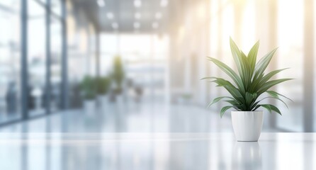 A white, modern office interior with plants in the foreground, blurred desks and chairs behind it.