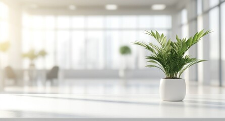 A white, modern office interior with plants in the foreground, blurred desks and chairs behind it.