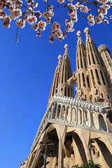Sagrada Familia in Barcelona, Spain. Spring time cherry blossoms.