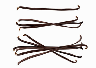 Set of vanilla pods isolated on white background. Vector illustration.