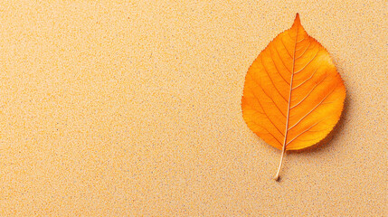 delicate orange leaf resting on sandy surface, showcasing nature beauty