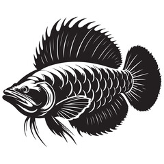 Arowana Fish Vector Illustration for Aquarium Enthusiasts and Pet Shops
