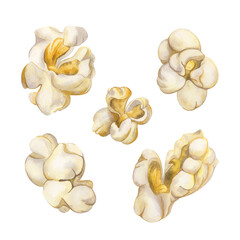 Popcorn set watercolor illustration. Close-up image of popcorn in realistic style. Hand drawn snack for holidays, a movie or party. Homemade airy appetizing crispy corn. Classic retro style cutout