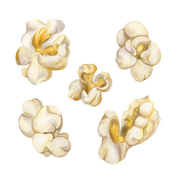 Popcorn set watercolor illustration. Close-up image of popcorn in realistic style. Hand drawn snack for holidays, a movie or party. Homemade airy appetizing crispy corn. Classic retro style cutout