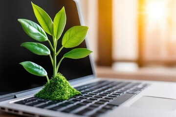 A laptop with green plants growing out of it