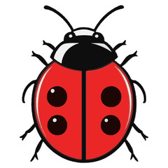 Classic Ladybug: A Spot of Charm