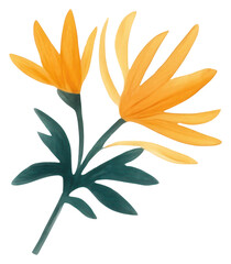 PNG Watercolor floral flower graphics pattern.