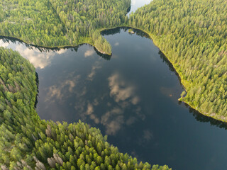 Forest lake with cloud reflection aerial view.