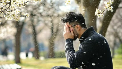 Springtime Allergies and Pollen in the Park