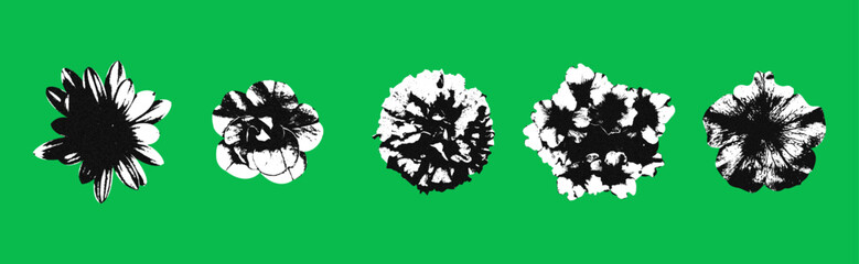 Set of wild flowers on green background. Retro photocopy effect. 