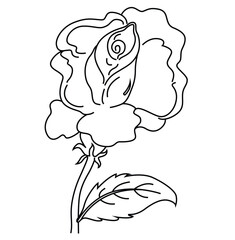 Cute cartoon hand drawn vector rose flower coloring page.