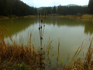 the view of the lake