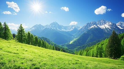 Obraz premium Bright Sunny Day in Mountain Landscape with Lush Green Field