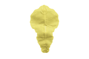 Watercolor painting on a transparent background.