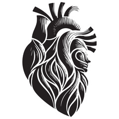Obraz premium Anatomical Heart Silhouette Vector Illustration Art Detailed Design
