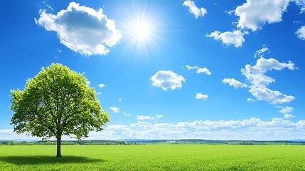 Obraz premium Solitary Tree in a Green Field Under a Bright Sunny Sky