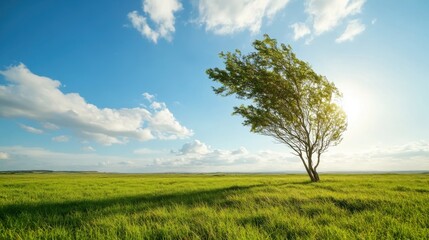 Fototapeta premium Swaying tree dances with the wind beneath a bright, open sky