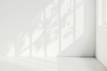 Fototapeta premium Sunlit shadows on white wall png overlay effect, transparent background