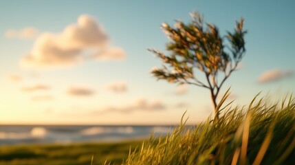 Swaying tree whispers secrets to the gentle breeze at sunset