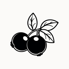 Fresh and Juicy Cranberry Fruit - High-Quality Stock Image for Commercial Use