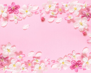 pink  apple flowers on pink background