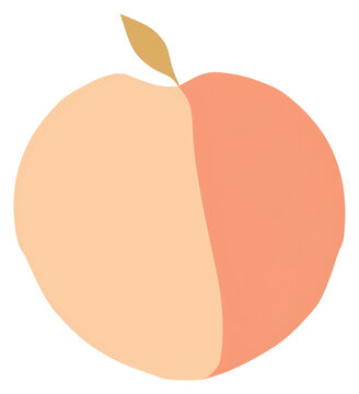 recommend clip art: PNG  Illustration of a peach fruit plant food.