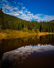 Aerial view of the jungle
