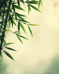Obraz premium Green bamboo leaves and stems with a sky background.