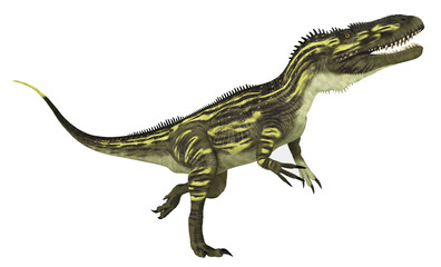 Dinosaurier Torvosaurus, Freisteller