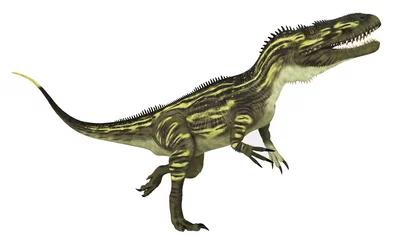 Fototapete Dinosaurier Torvosaurus, Freisteller © Michael Rosskothen