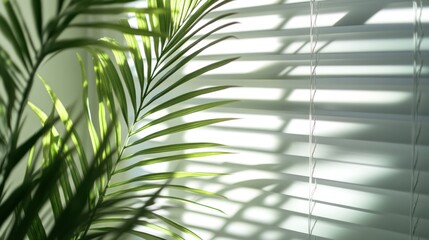 Indoor tranquility palm leaves and light filtering through window blinds