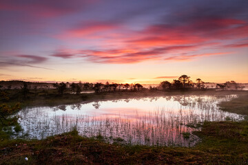 Obraz premium Colorful sunrise in Kakerdaja bog in the summertime with bog pool in the foreground