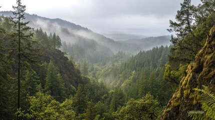 Fototapeta premium Misty Mountain Valley View
