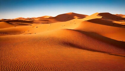 Sand dunes in the Sahara Desert