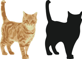 Orange Tabby Cat with Black Silhouette - Vector Illustration